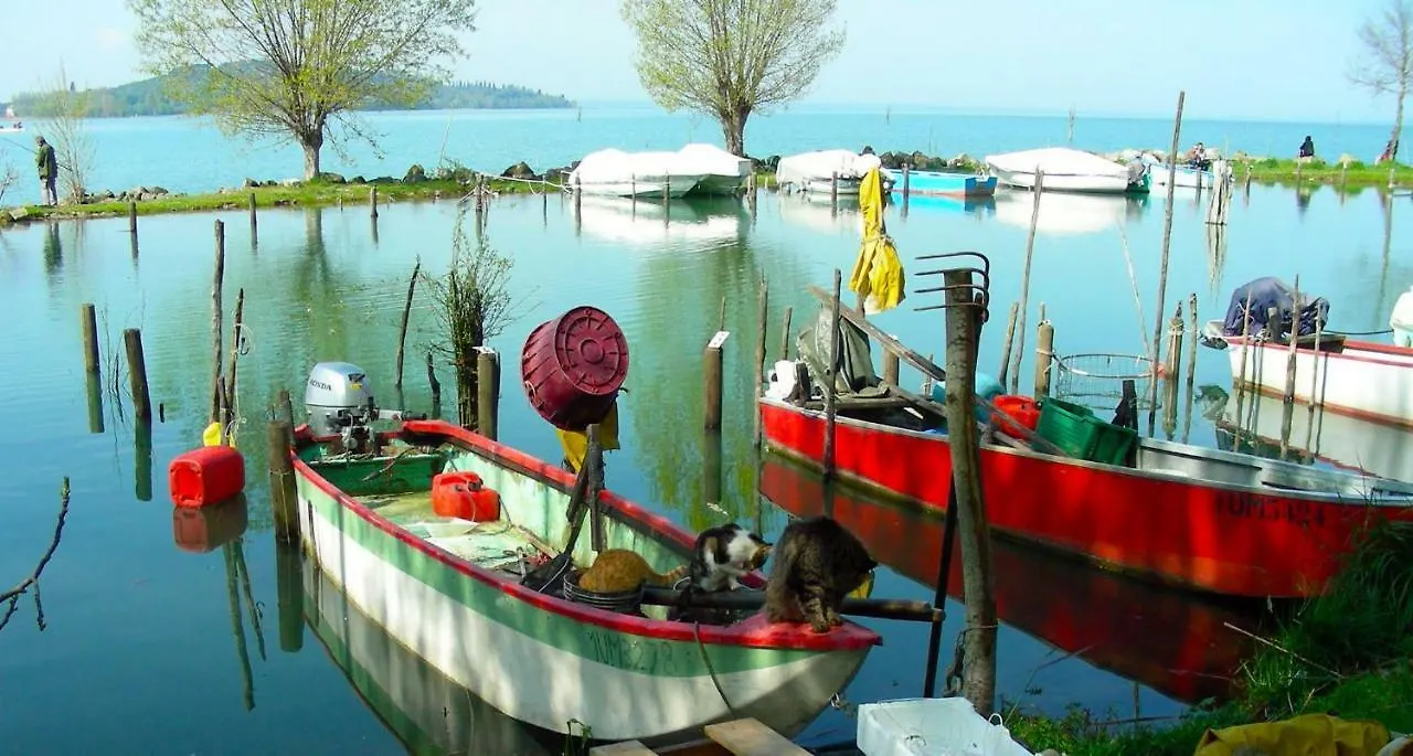 Bed & Breakfast B&B Il Glicine Montefollonico