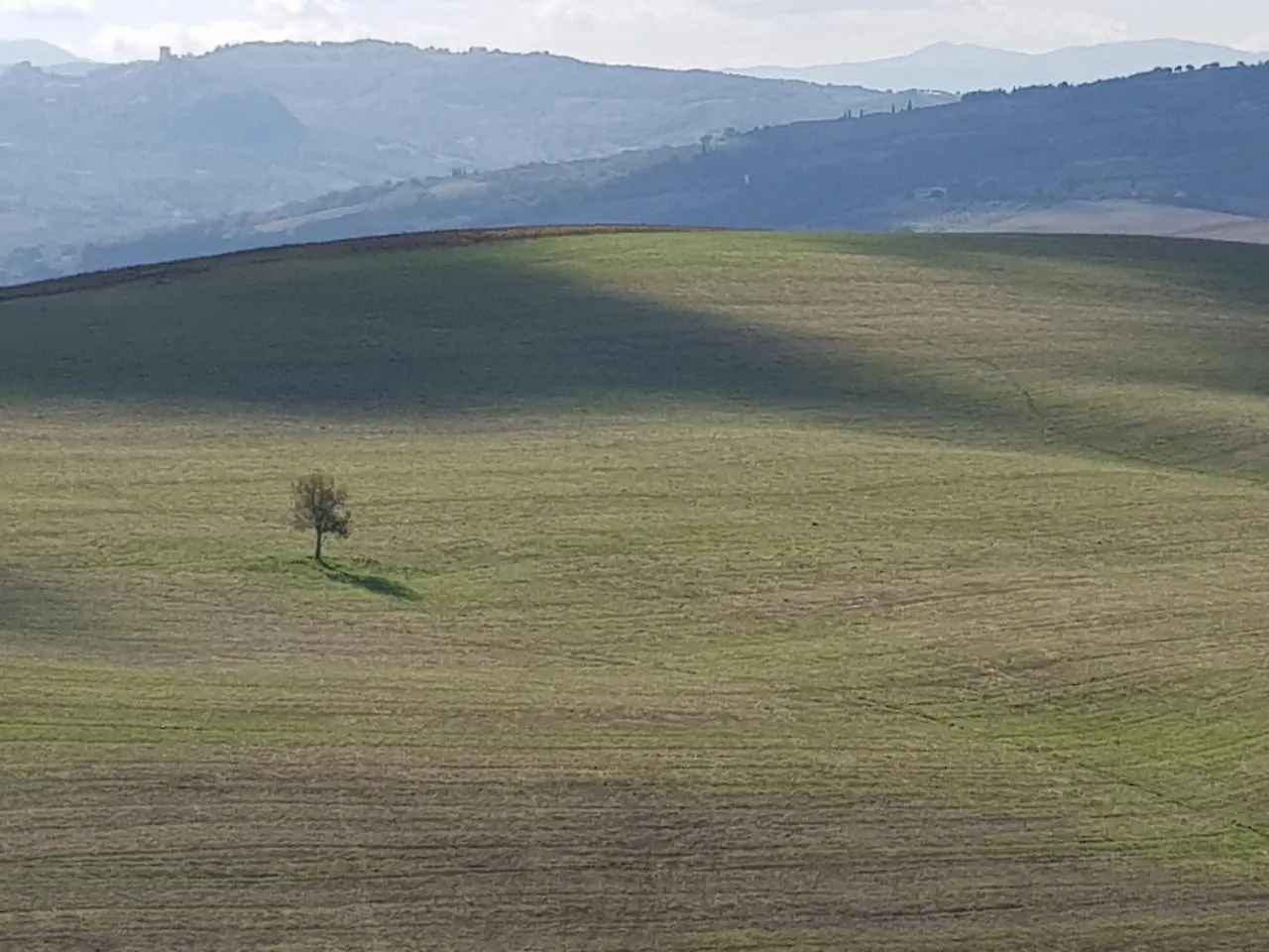 Bed & Breakfast B&B Il Glicine Montefollonico Italy