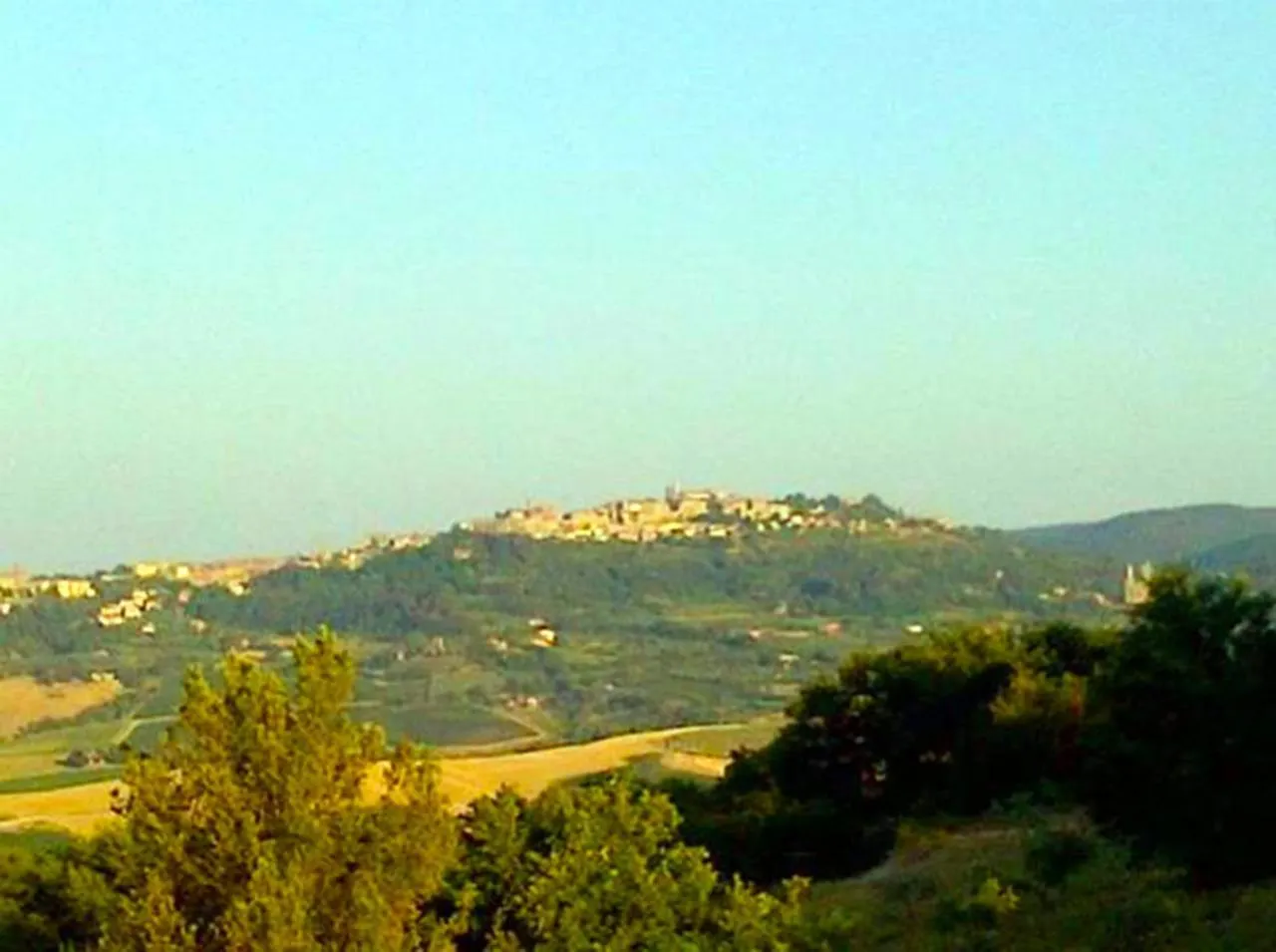 B&B Il Glicine Montefollonico