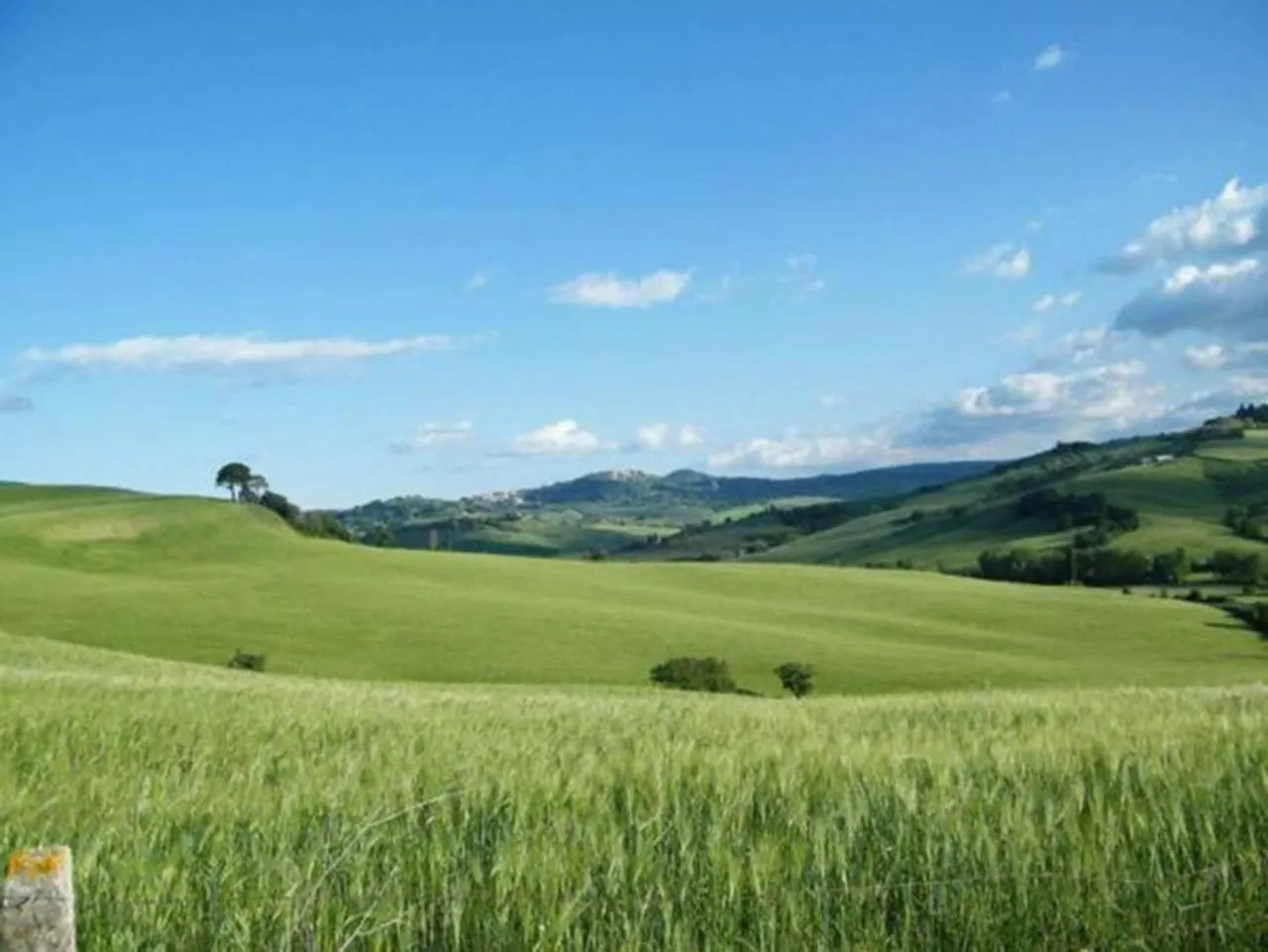 B&B Il Glicine Montefollonico 0*,  Italy