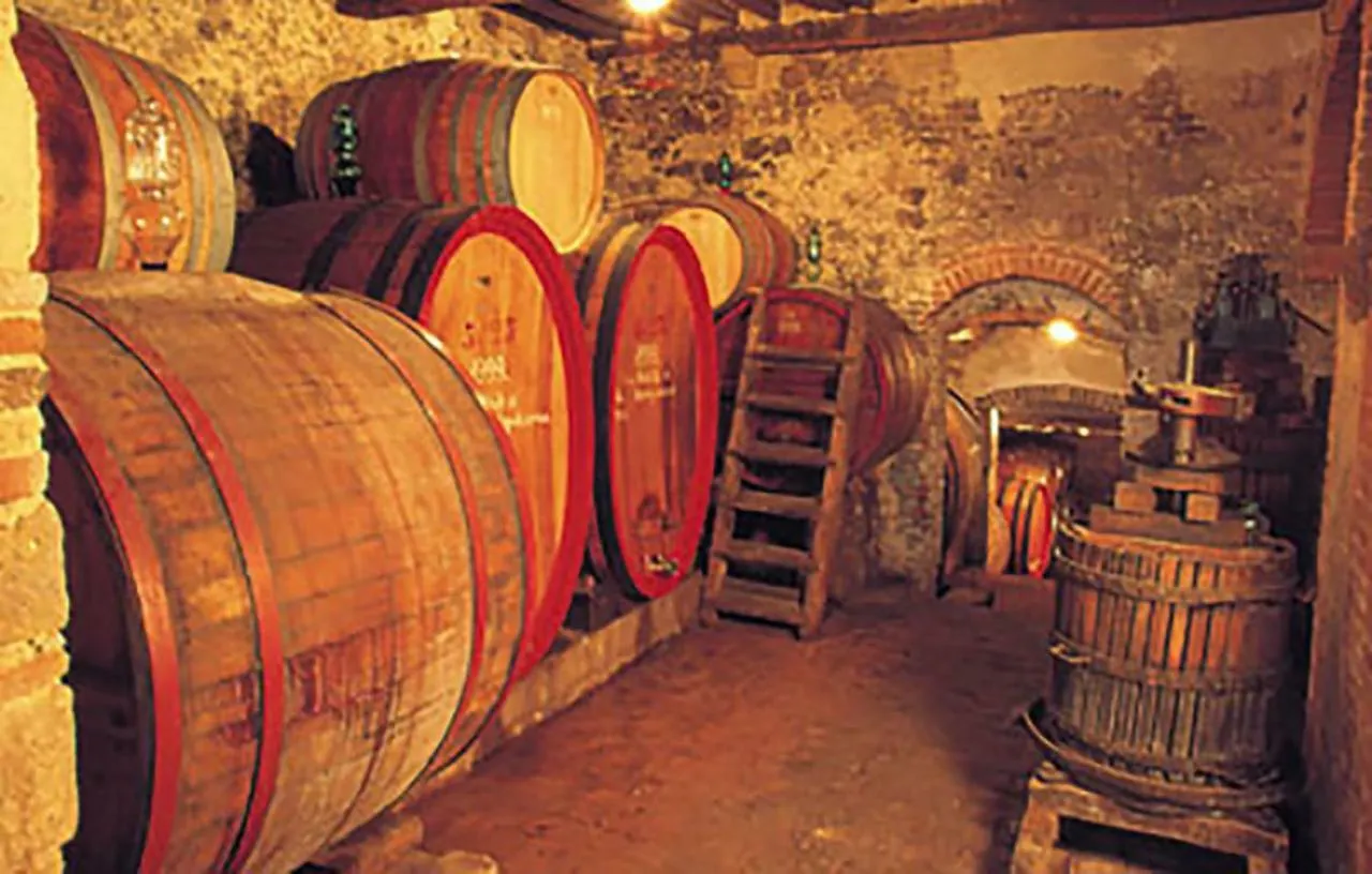 B&B Il Glicine Montefollonico