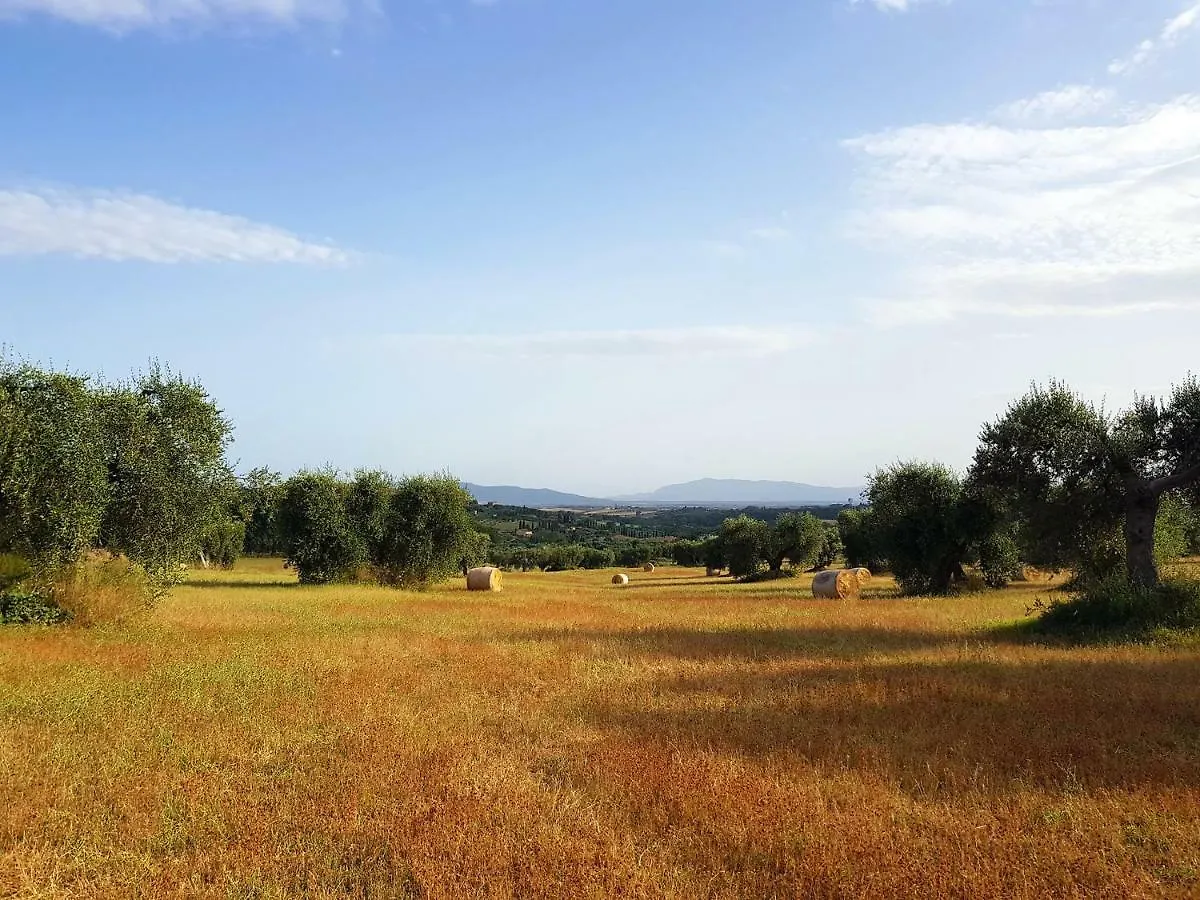 B&B Il Glicine Montefollonico 0*,
